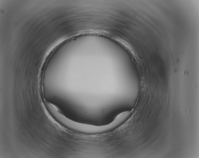 X0000083971135200703161524