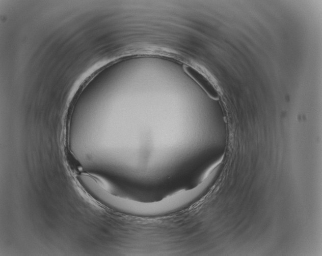 X0000083971136200703161524