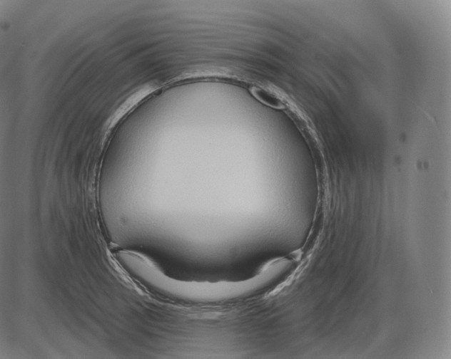 X0000083971137200703161524