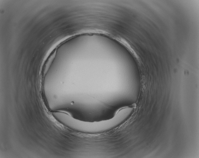 X0000083971140200703161524