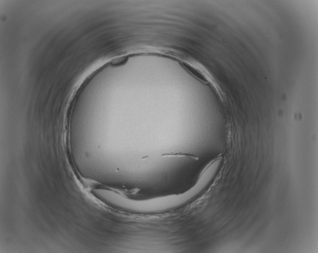 X0000083971143200703161525