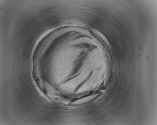 X0000083971144200703161525