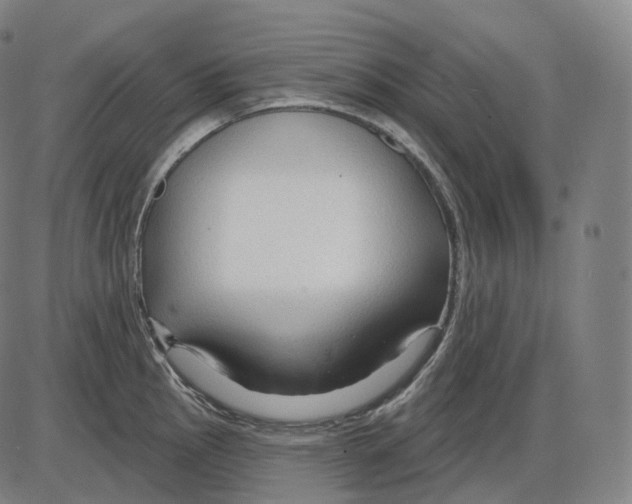 X0000083971145200703161525