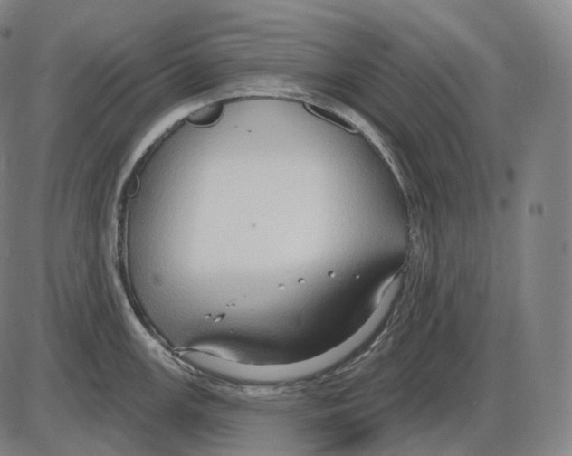 X0000083971147200703161525