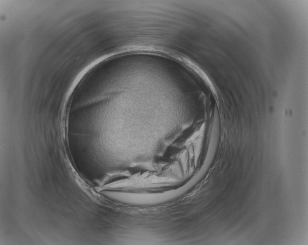 X0000083971148200703161525