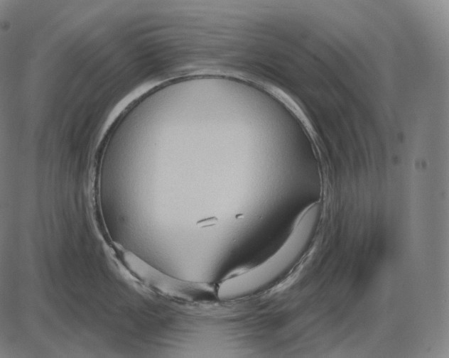 X0000083971149200703161525