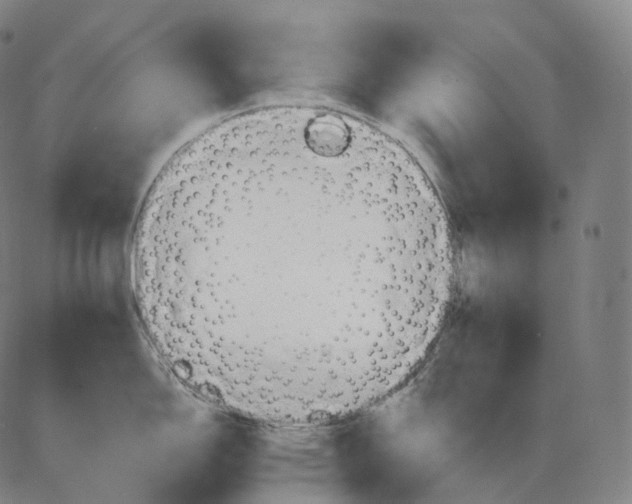 X0000083971150200703161525