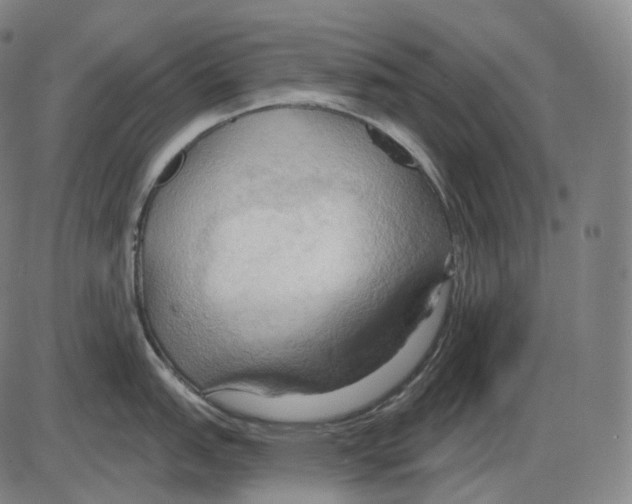 X0000083971151200703161525