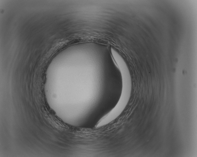 X0000083971153200703161524