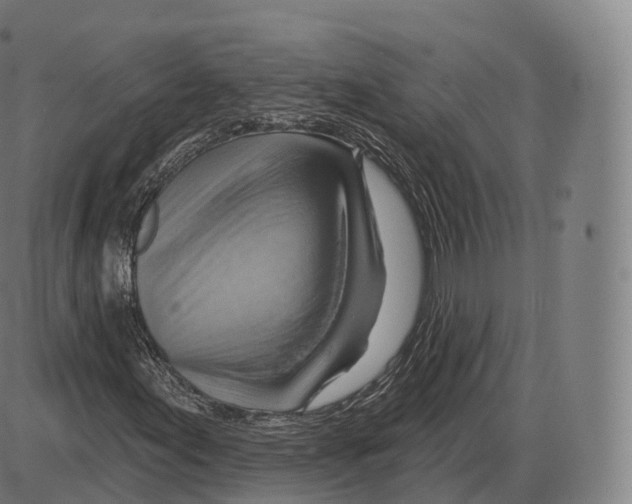 X0000083971155200703161524