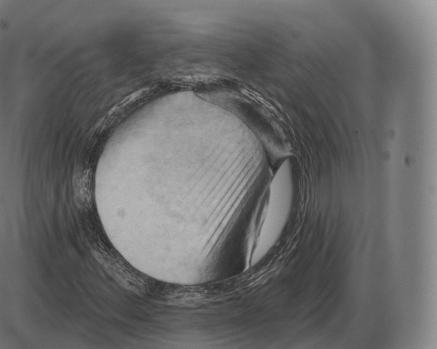 X0000083971156200703161524