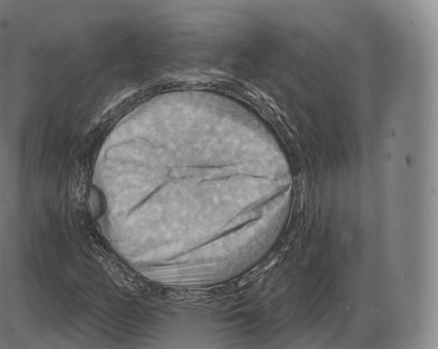 X0000083971158200703161524