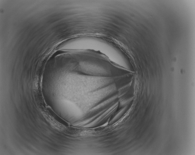 X0000083971161200703161524