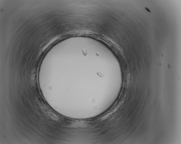 X0000083971162200703161524