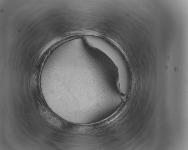 X0000083971163200703161524