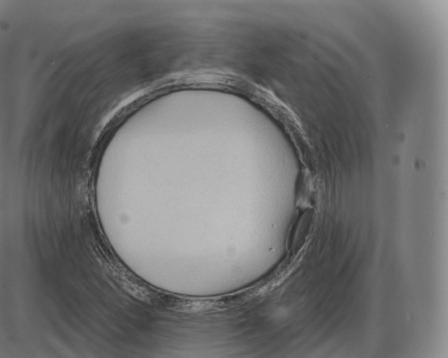 X0000083971166200703161524