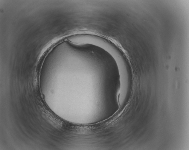 X0000083971167200703161524