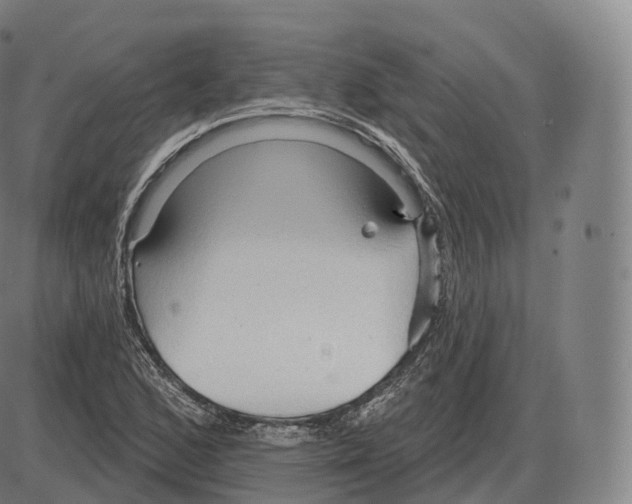 X0000083971168200703161524