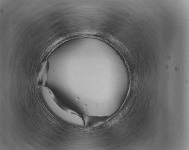 X0000083971169200703161524