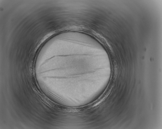 X0000083971170200703161524