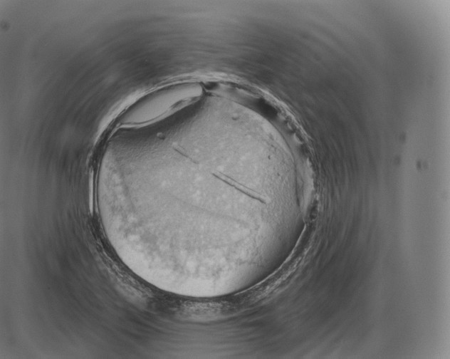 X0000083971171200703161524