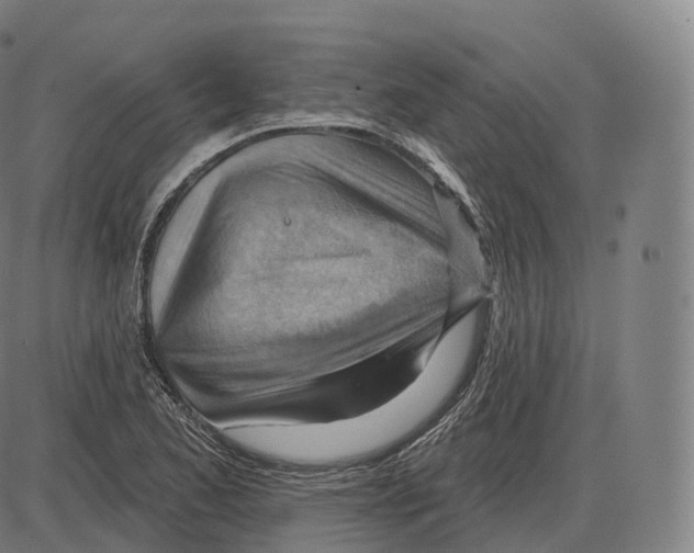 X0000083971173200703161524