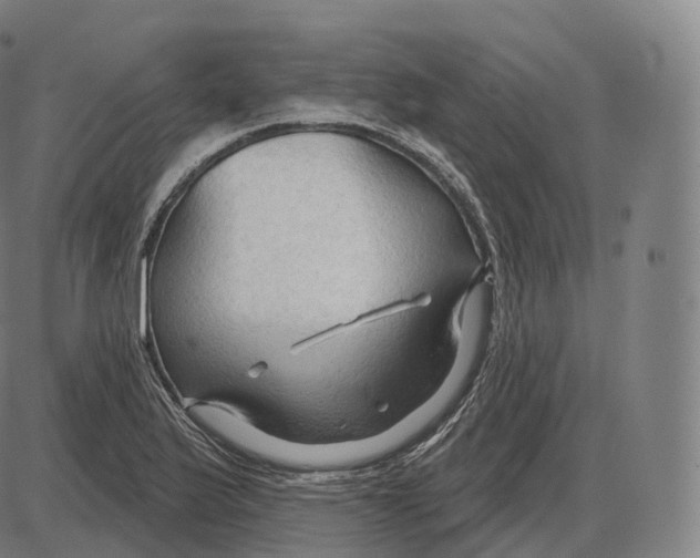 X0000083971175200703161523