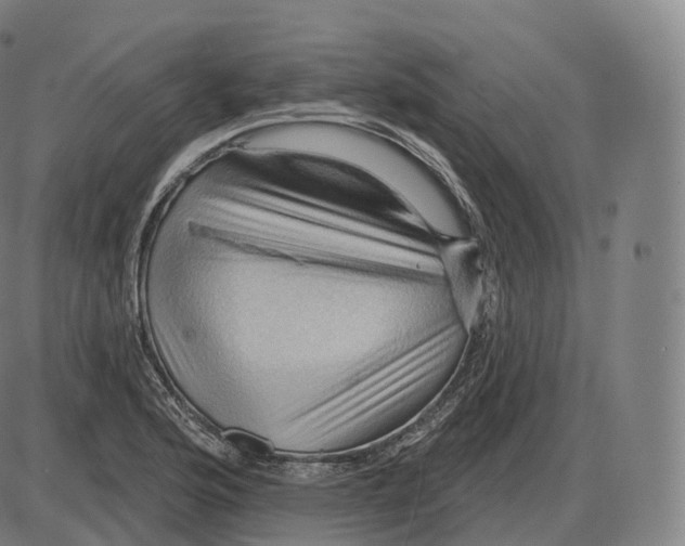 X0000083971176200703161523