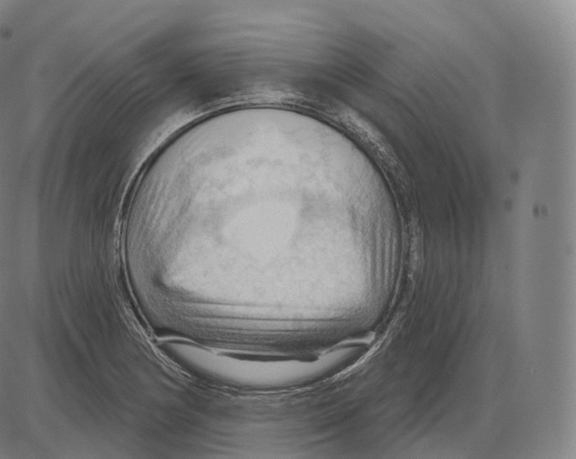 X0000083971178200703161523