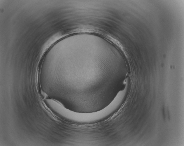 X0000083971179200703161523