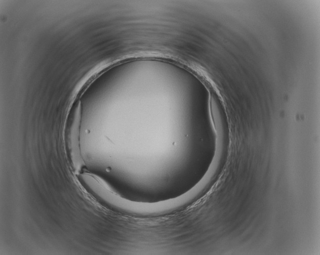 X0000083971181200703161523