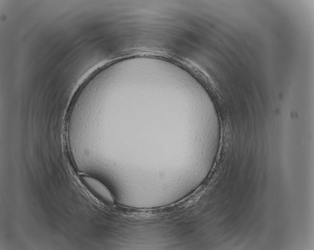 X0000083971182200703161523