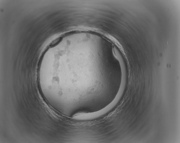 X0000083971183200703161523