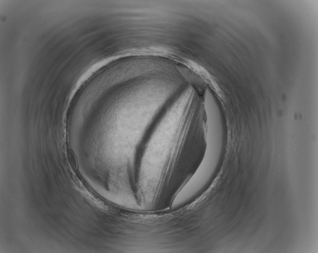 X0000083971184200703161523