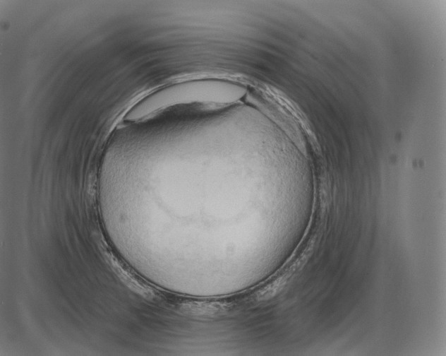 X0000083971185200703161523