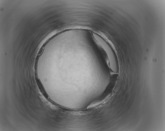 X0000083971189200703161523