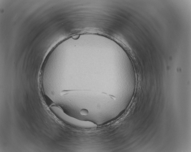 X0000083971190200703161523