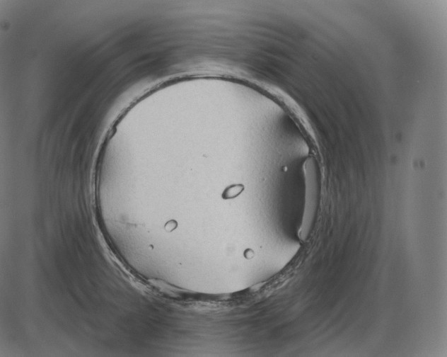 X0000083971191200703161523