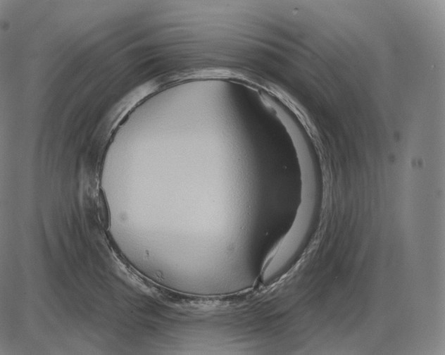 X0000083971193200703161523