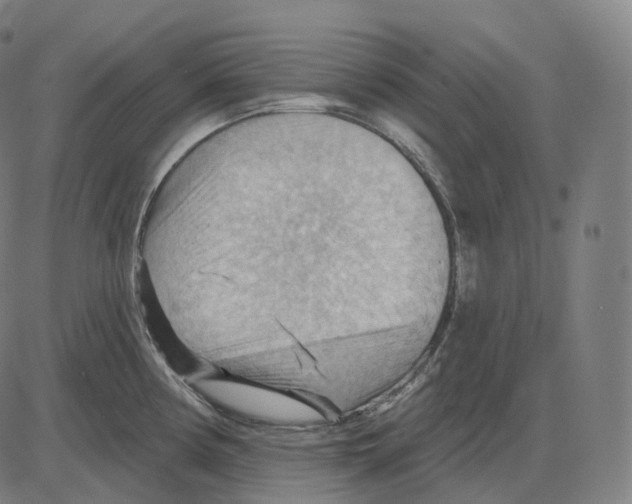 X0000083971194200703161523