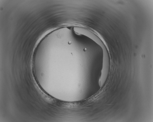 X0000083971195200703161523