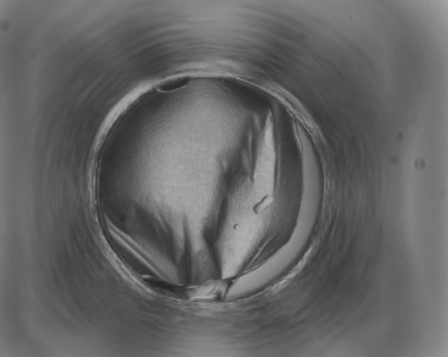 X0000083971196200703161523