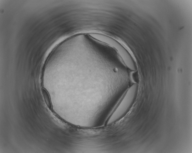 X0000083971197200703161523