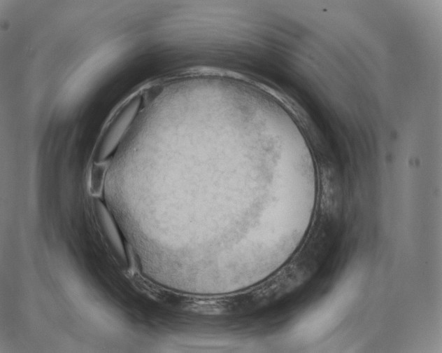 X0000083971198200703161523