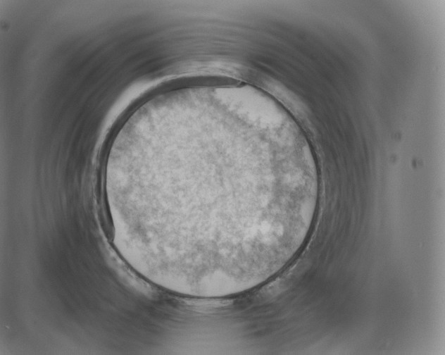 X0000083971200200703161523