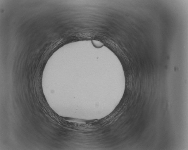 X0000083971201200703161522