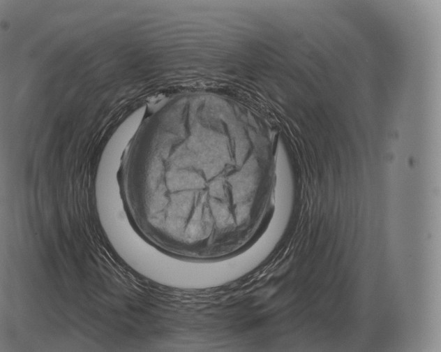 X0000083971202200703161522