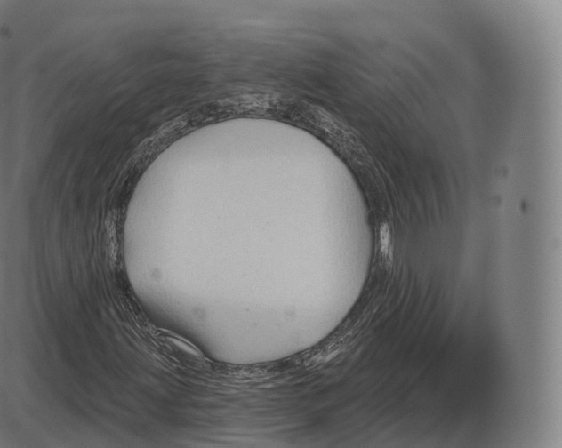 X0000083971203200703161522