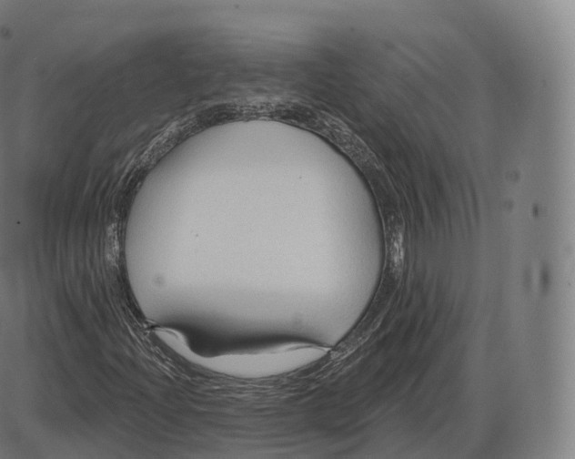 X0000083971204200703161522