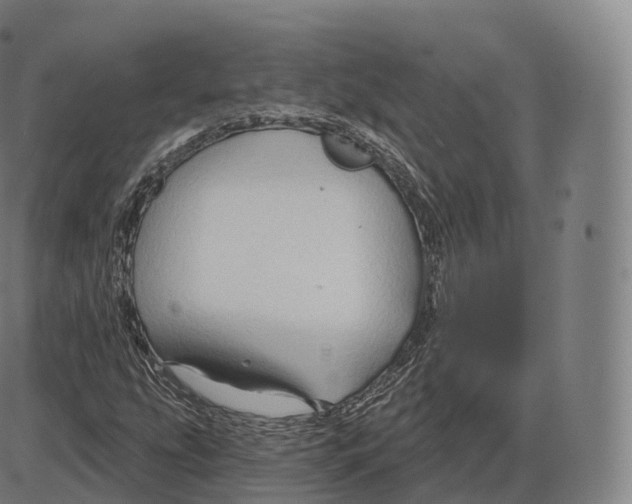 X0000083971207200703161522